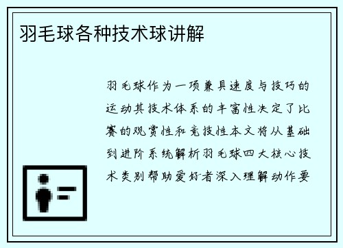 羽毛球各种技术球讲解