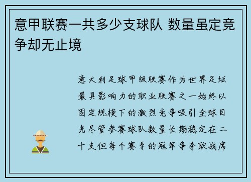 意甲联赛一共多少支球队 数量虽定竞争却无止境